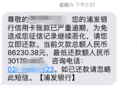 召陵专业讨债公司有哪些核心服务？